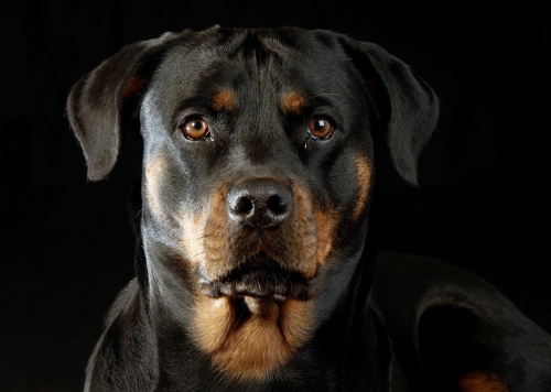 27677d86642136c621c038f92beb04c8