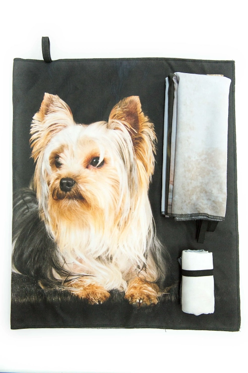 da97a4cf5aff282d5ffbe6f0d94325c0