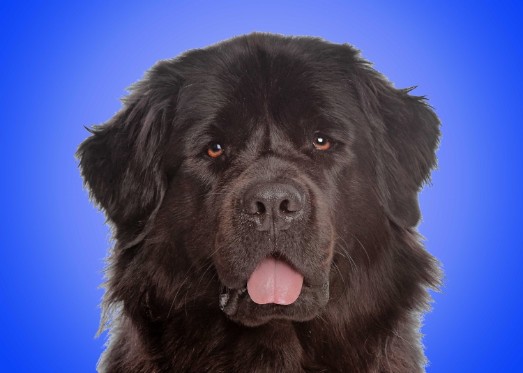 4155202095f8b245ac00ed611aecb83a