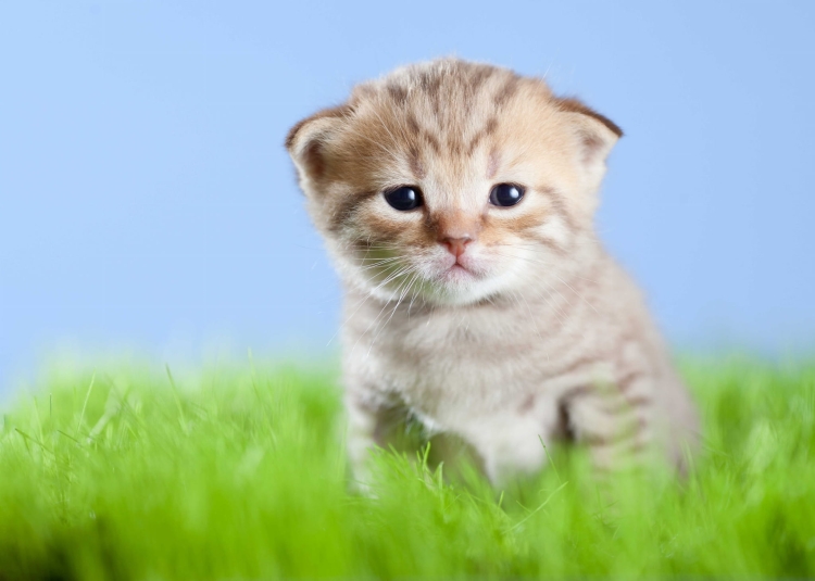 eec2d92ca5c1515678814f077cdea92a