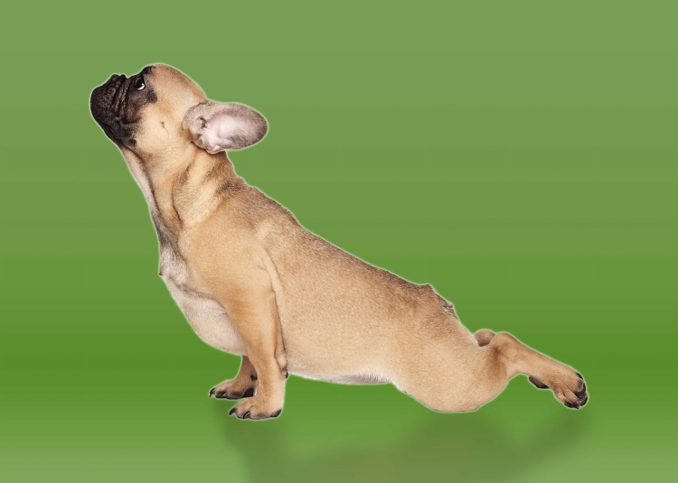 0b920b0a4b9258a80e954f1afe506462