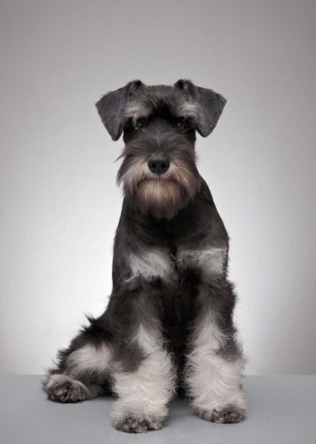 e1b965717ffb155729d3160458f98705