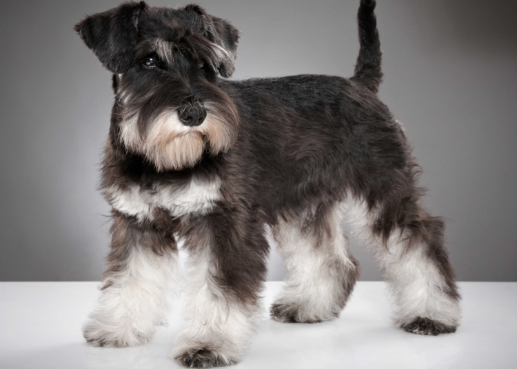 f04cab0e21d23e42206b8c91b560e85e