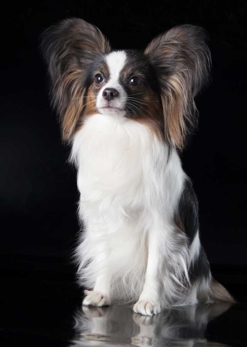 0aac449d27bc6f84392fa2a45aa1b53c