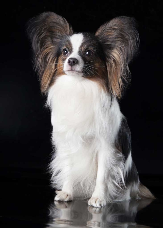 0aac449d27bc6f84392fa2a45aa1b53c