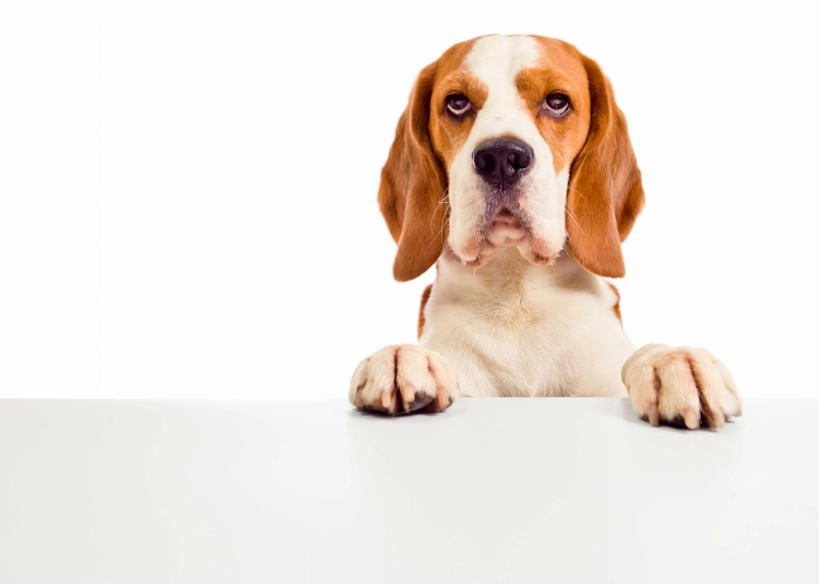 d7a285463c8d22e23c3d0a26bf06d0be