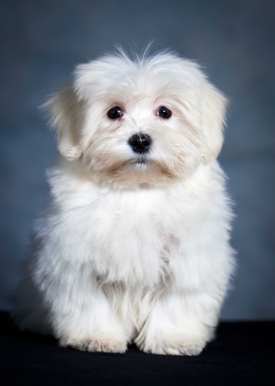 fd5636c54c27d11827f1c3974b1ab3ca