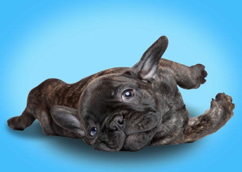 0877ad85d0e9faabb964b981cdc06844