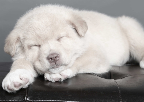 22ad70a0220bac1f1c14397a745a75da