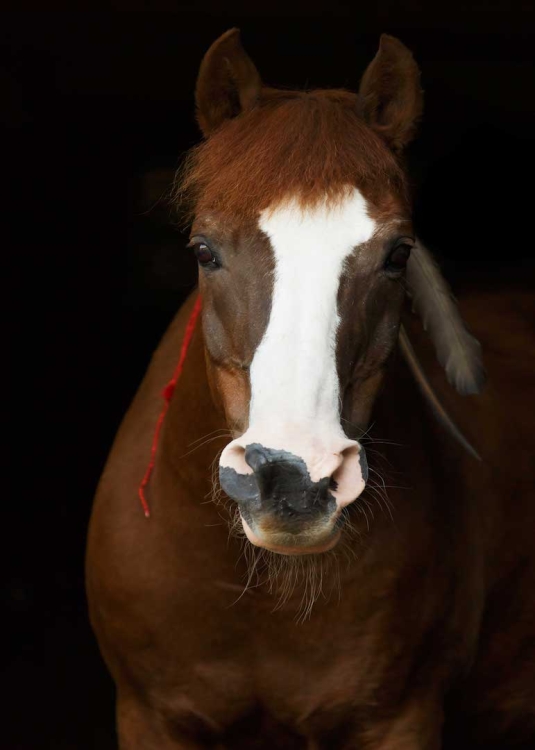 1e4fab8304497acdc9d2b599b2a31d89