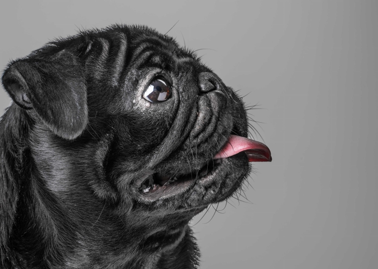 09503fd38909856282419fc6cabef223