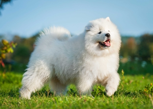 4d04cc864e790c947e3679ea79b64dbe