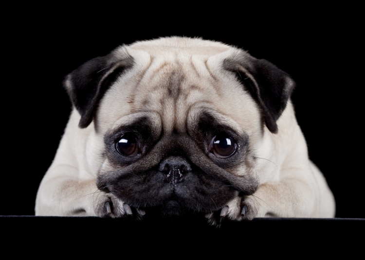 82146c0ebf166c3fa7413c799bd1d7b5