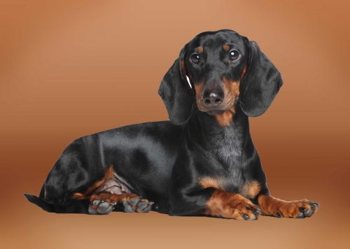 30030c4bfb3bae33c4ed4cb2d66f88f9