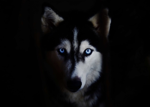 03a6da8c66dbdd5e81dace4b44a8a689