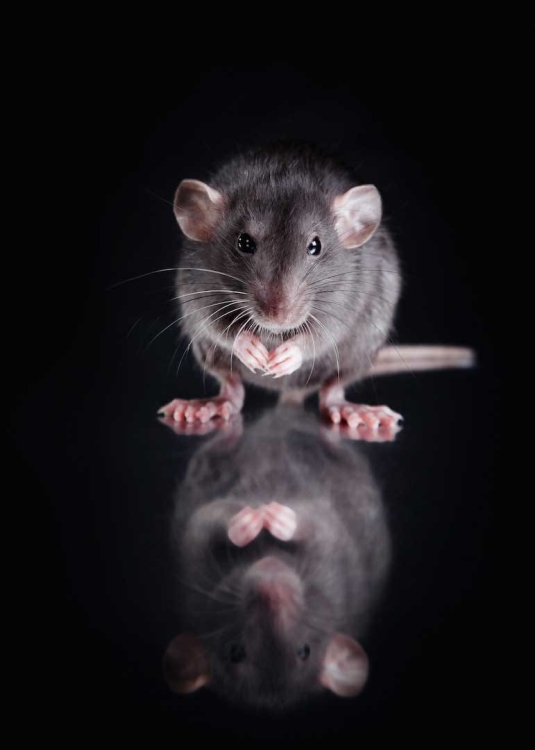 fd9ac378629a577a46c0086cebce7487