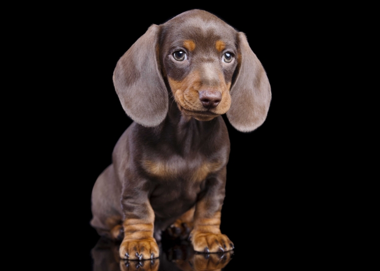 efab219dc31110e795ab47960b139bfd