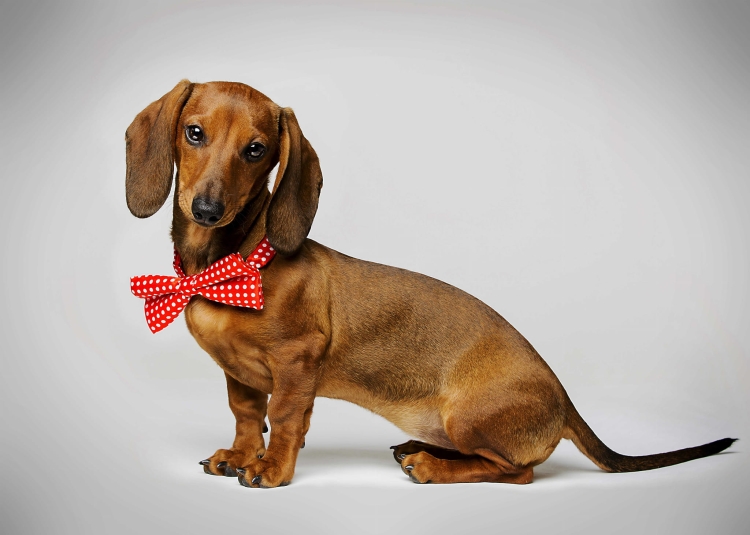 45b27d31e445a76c61ce1b5f6f6b008e