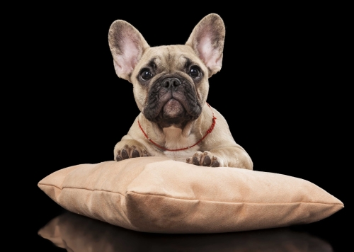 c63359ad8bc9eec2a05b8991d8db6b10