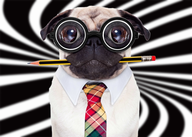 57791ff93dcc9a66927fcb54e7e8c166