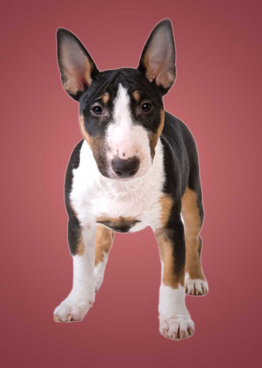 63dd32265097eb786bec85668eed6714