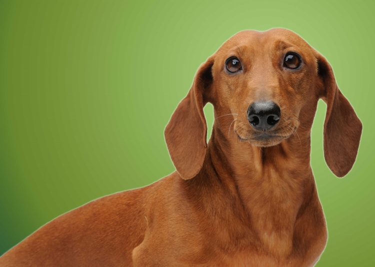 c28f589572403ecfac345ae3a44e8dcf