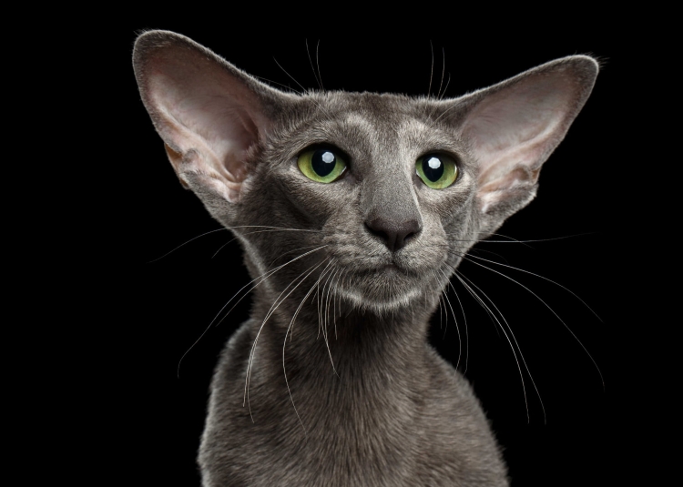 680eb85f4f29a9b607e550c742277042