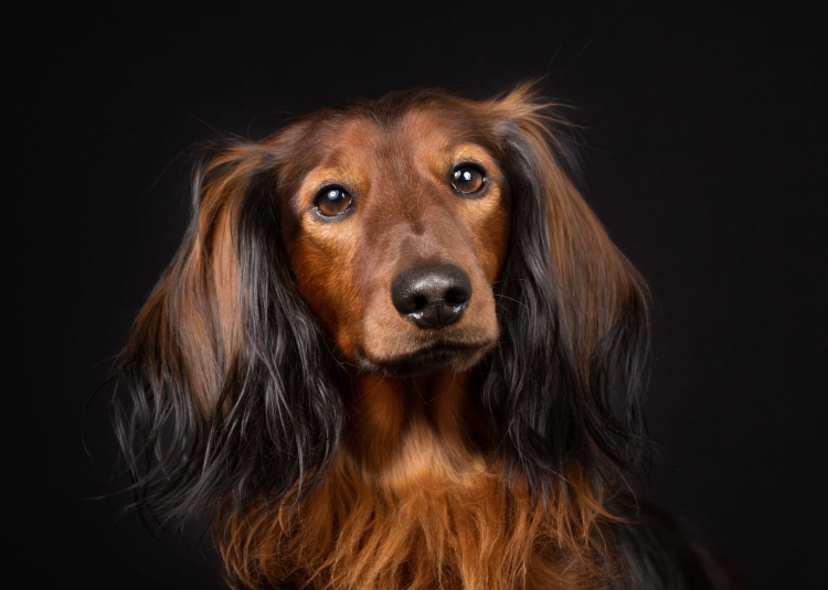 b154cd6a6ceb610c497ffcb930ca5bc0