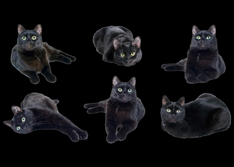 a90a6d311cca5a74410f1a602e5c0906