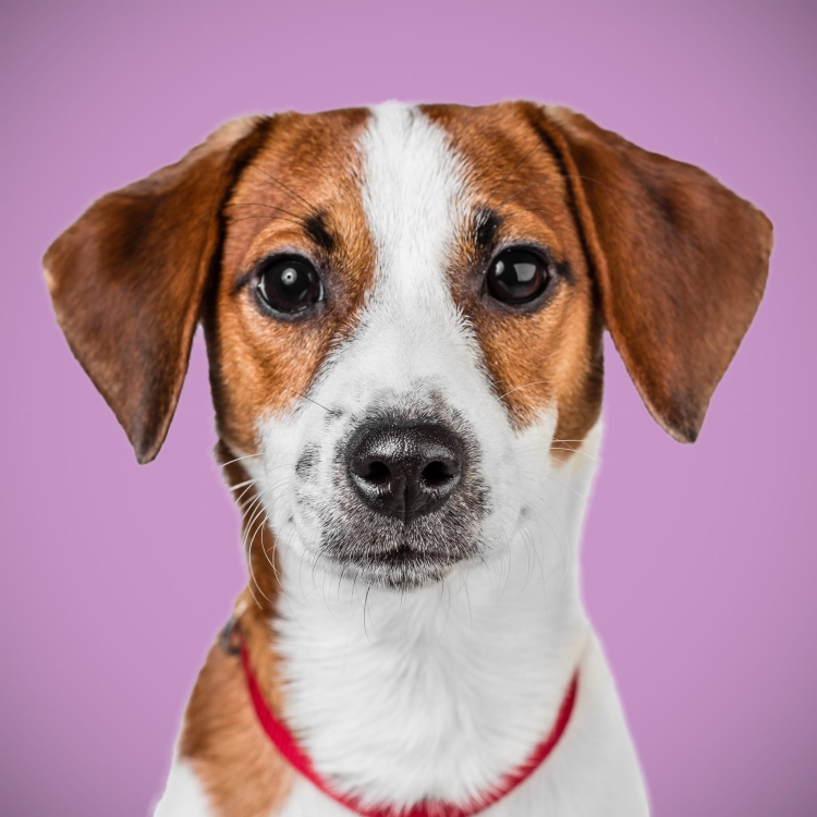 26977f6a94a1bc07c4720d79d5a65d81