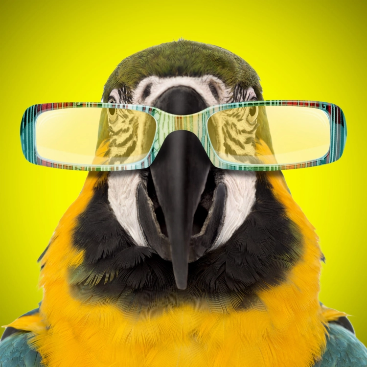 cd507aac004966d4bf477423d892021d