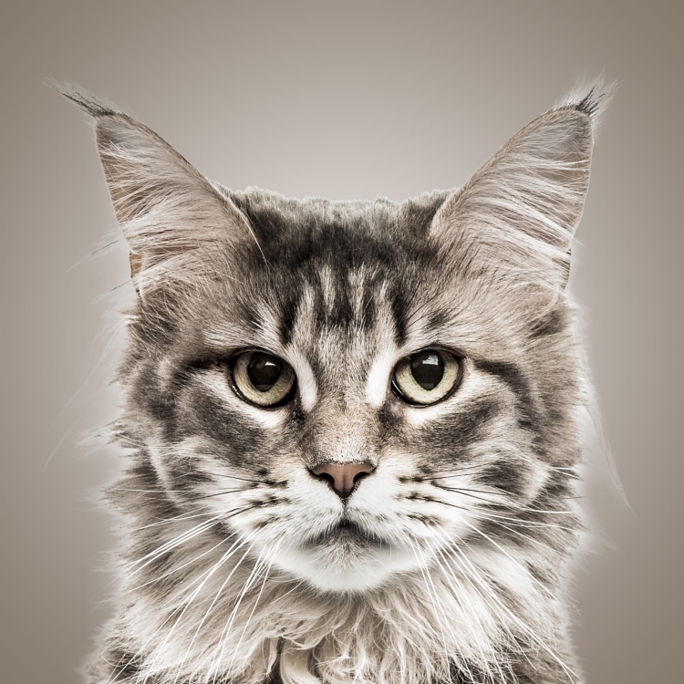 5baebcba8aa23649eaaddc5126cb28dd