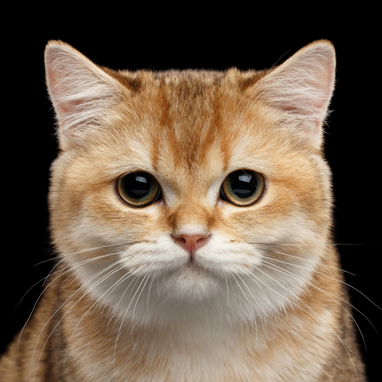 2411517ccde9fbb217e5d4a9a5687711