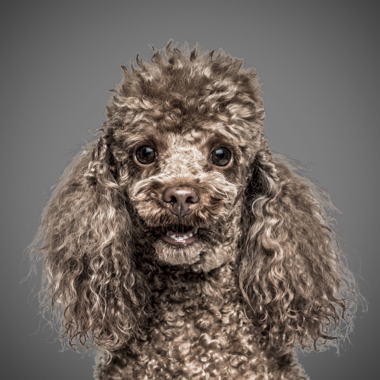 42fd21cff47d941f71fc1200f8024b4a