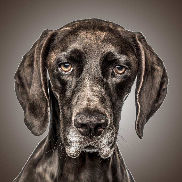 fc492800a8009127d602b63ced125b02