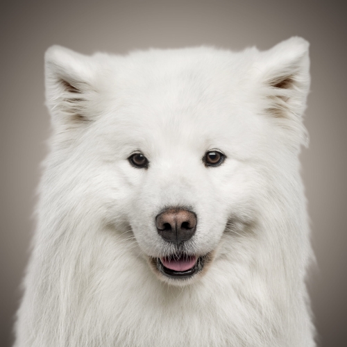 b341c05c1227401e6ef85a8d7d232558