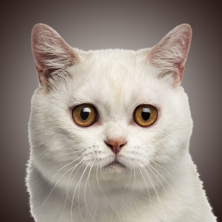 18a499d22d351d87ad27dd5bbfb9a7aa