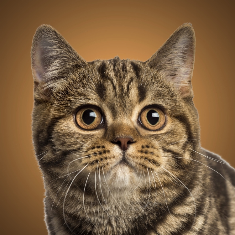 e2432a11920fd9f306d728ba954f19d3