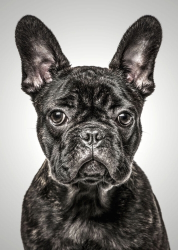 3d9d893c5f447feb17a7cb52eabdbe7e