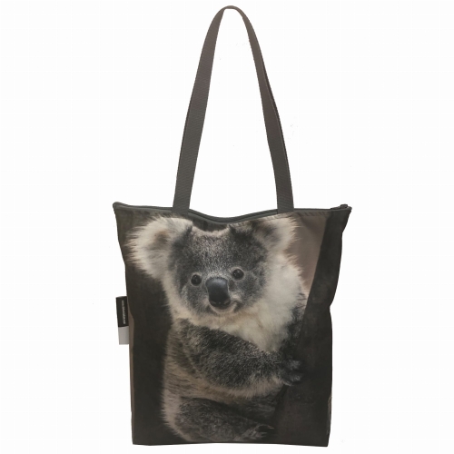 torba kl koala 1.jpg