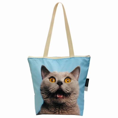 torba kl kot brytyjski .jpg