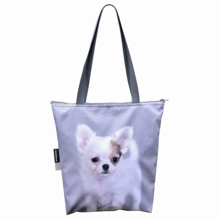 torba klasyczna chihuahua .jpg