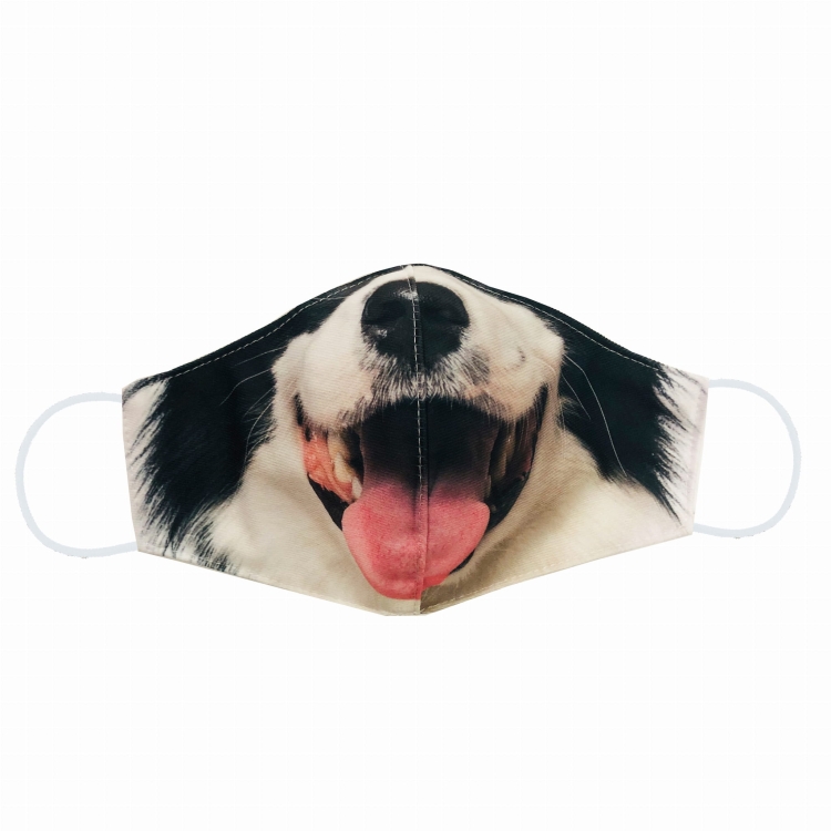 maska zdj collie.jpg