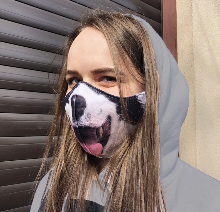 zdj border collie.jpg