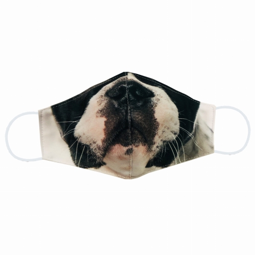 zdj buldog maska.jpg