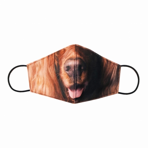 seter irlandzki zdj maska 27.jpg