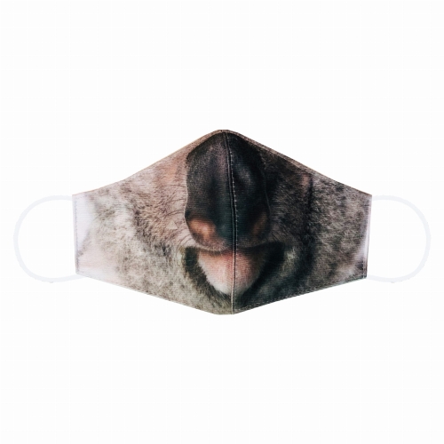 zdj koala maska 30.jpg