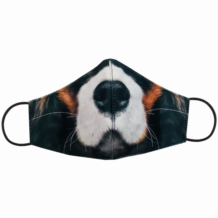 spaniel zdj maska.jpg