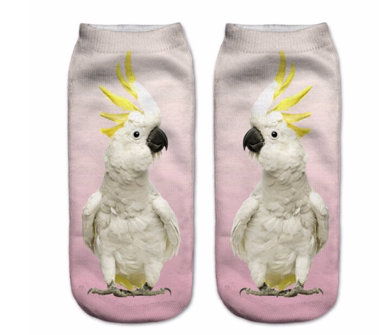 Zrzut ekranu 2020-05-11 o 18.19.46.png