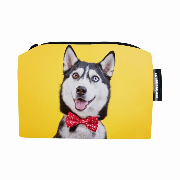 kosm nowa husky 1.jpg